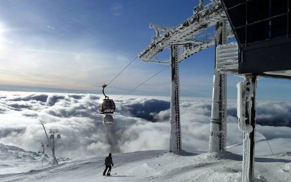 Skiën in de Karpaten Skiën in de Karpaten