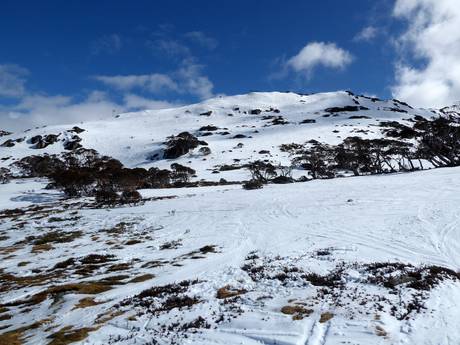 Skigebieden voor gevorderden en off-piste skiërs Nationaal Park Kosciuszko – Gevorderden, off-piste skiërs Perisher